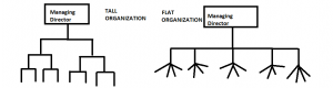 Tall vs Flat Organizations