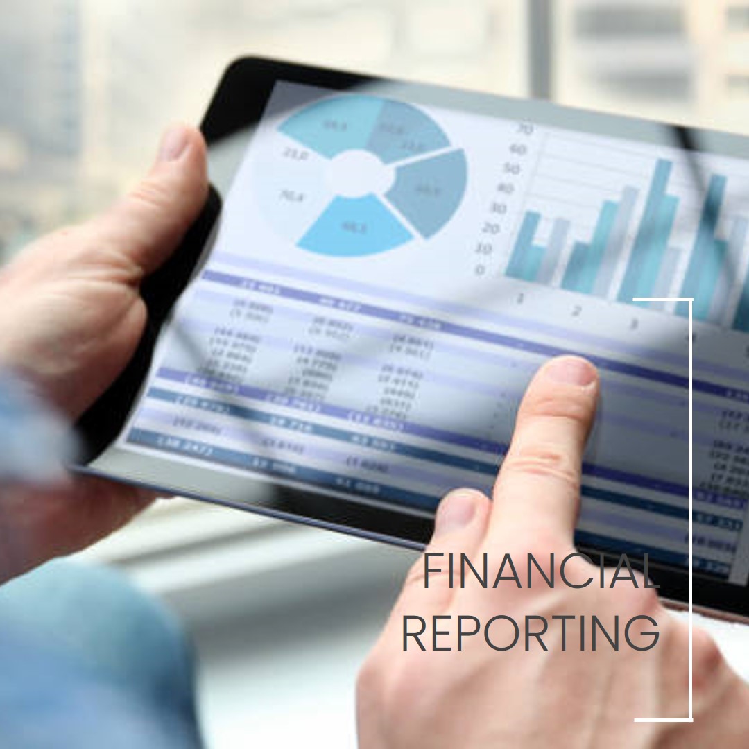Define the nature, principles and scope of financial reporting
